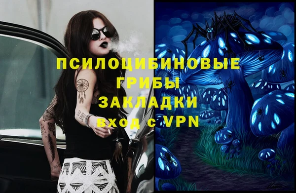 apvp Нея
