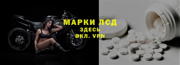 молекула духа Нефтекумск