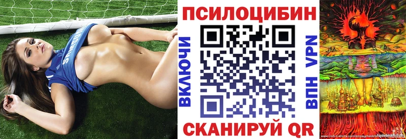 блэк спрут вход  Шлиссельбург  Псилоцибиновые грибы Psilocybe 